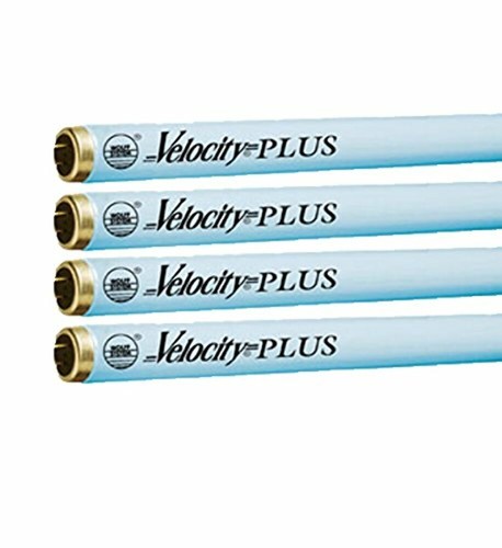Wolff velocity plus f71 - velocity, 100w
